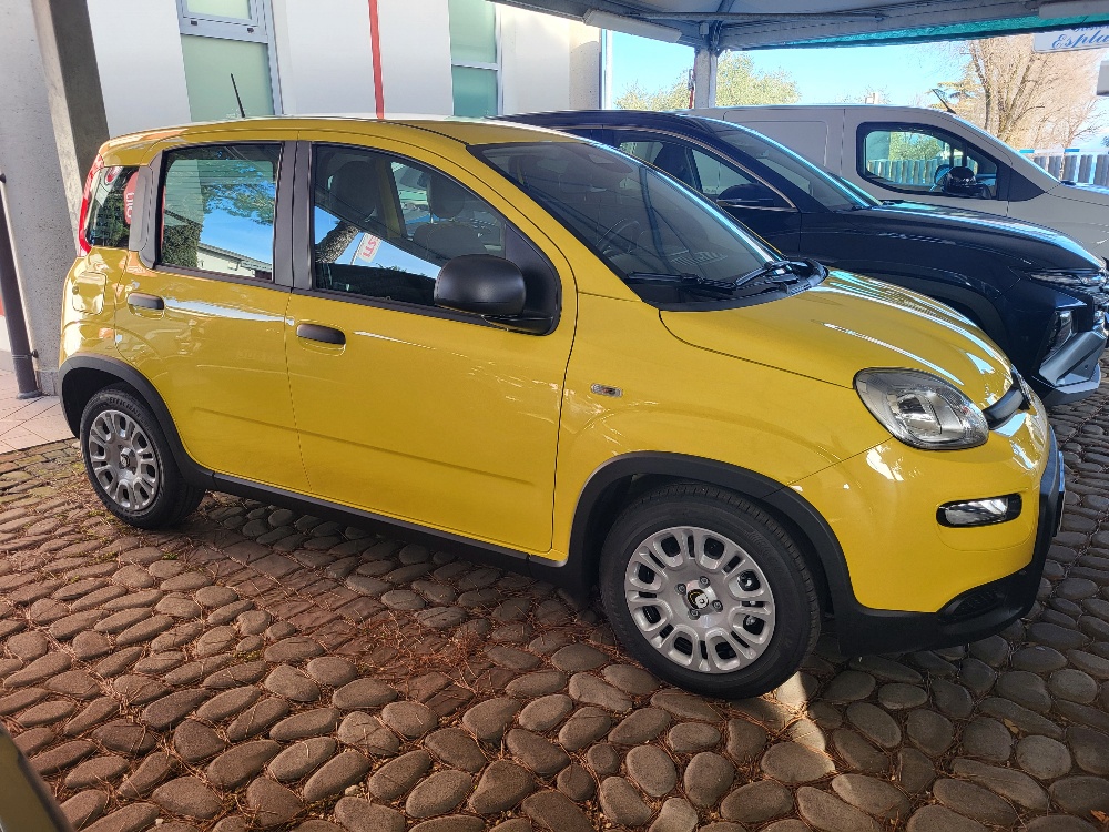 FIAT PANDA 1.0 70cv HYBRID – KM0 – DISPONIBILE SUBITO PRONTACONSEGNA !!!!